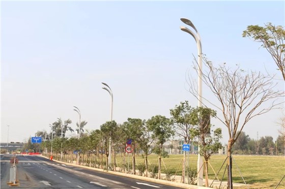 榮膺2019年度國家科技進步獎一等獎