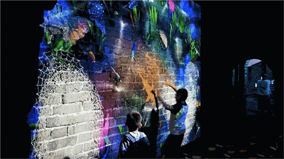 微信圖片_20240830110608