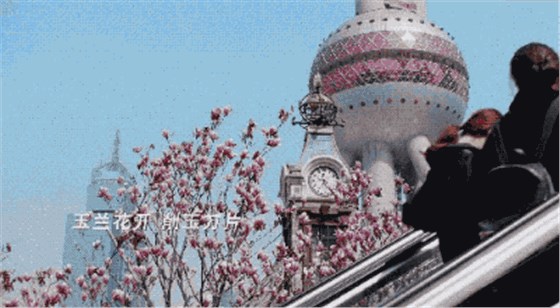 上海國際傳媒港