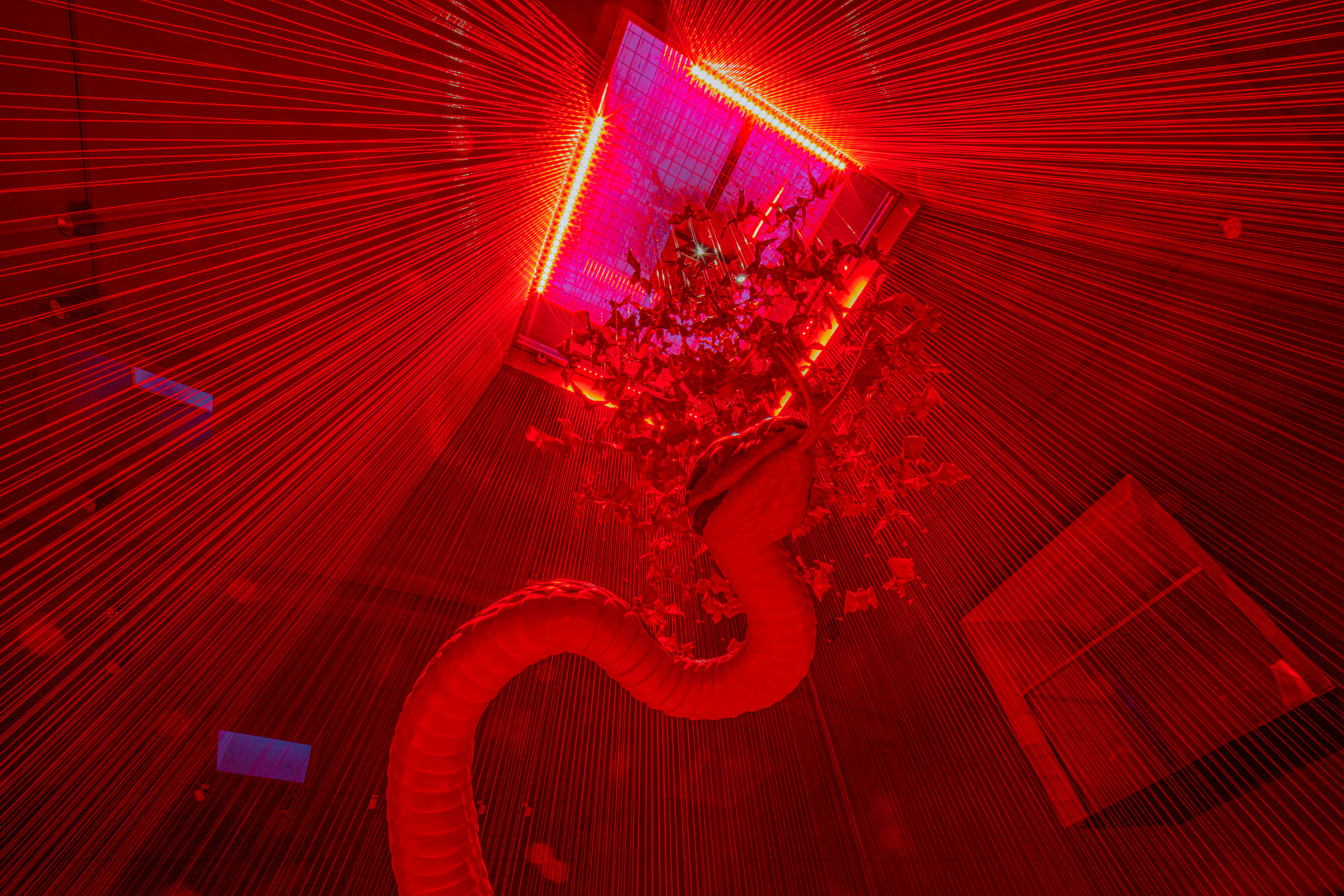 亮化工程-渡渡美術(shù)館藝術(shù)燈光設(shè)計 (3)