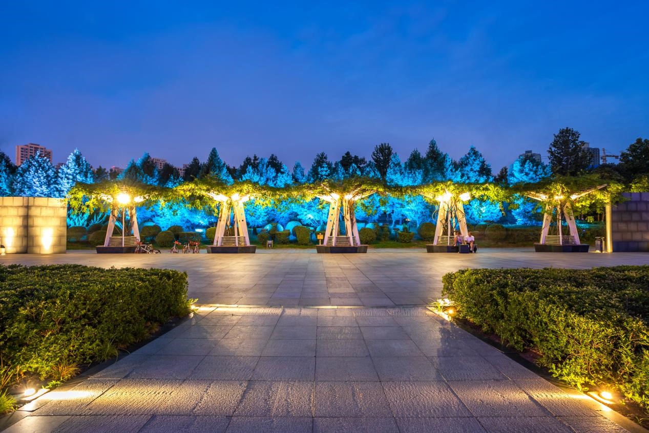 樹(shù)木亮化工程-2